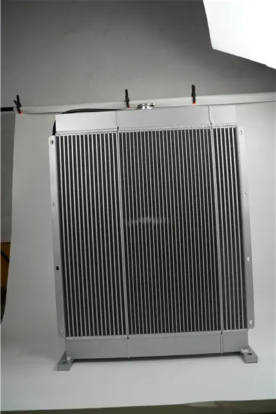 d1 (3)